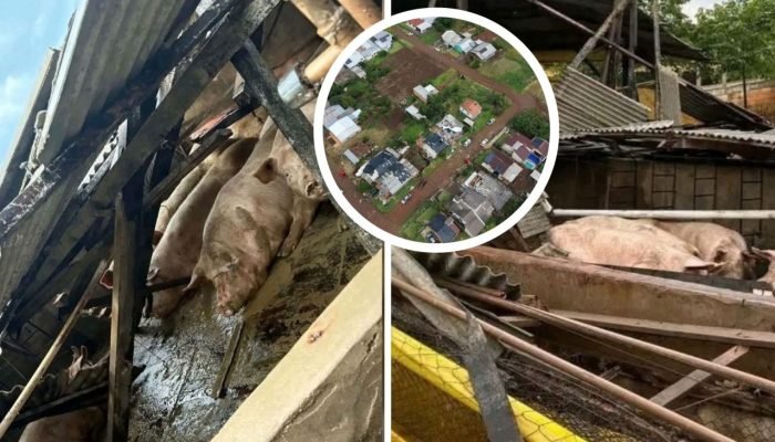 300-porcas-forte-temporal-com-vento-e-granizo-atinge-mais-de-200-casas-em-cerro-largo-rs-destroi-granja-na-zona-rural-e-faz-prefeitura-suspender-aulas-e-preparar-decreto-de-emergencia-1300x731