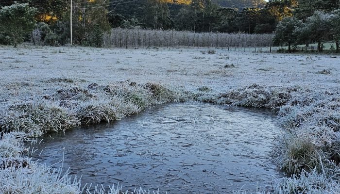 509692483_18512022106050254_2438409002101674529_n (1) 509692483_18512022106050254_2438409002101674529_n (1)