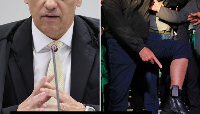 515439614_804249528935017_4190662867618723713_n