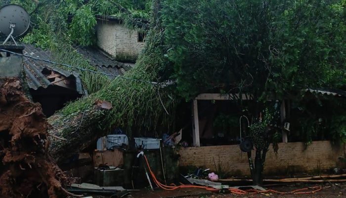 578269371_1353878386296128_4911635704325819023_n