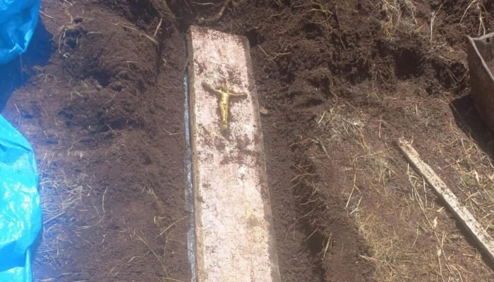 667626094_1515029353572121_6947549526108915102_n