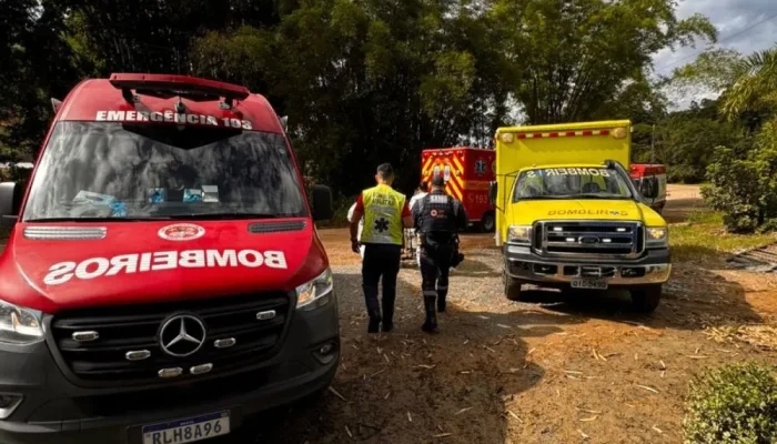 940f65911b7a66b405796705ab4421c7