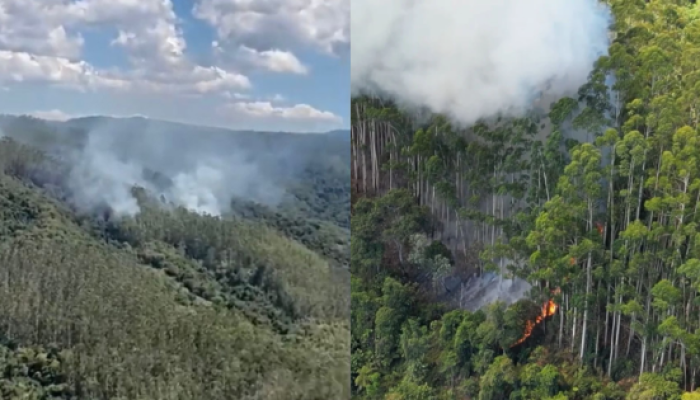 O deputado estadual Oscar Gutz (PL-SC) passou a integrar a “Caminhada pela Justiça e Liberdade”, mobilização política liderada pelo deputado federal Nikolas Ferreira (PL-MG) que percorre a rodovia (1)