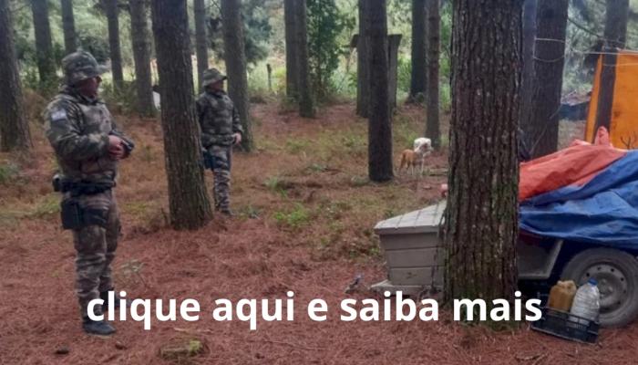 Sem nome (1200 x 630 px) (5) Sem nome (1200 x 630 px) (5)