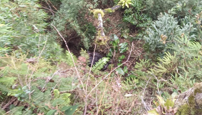 Sem nome (1200 x 630 px) (8)