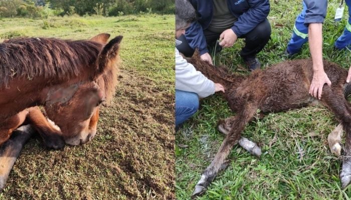 WhatsApp Image 2025-06-05 at 16.31.02