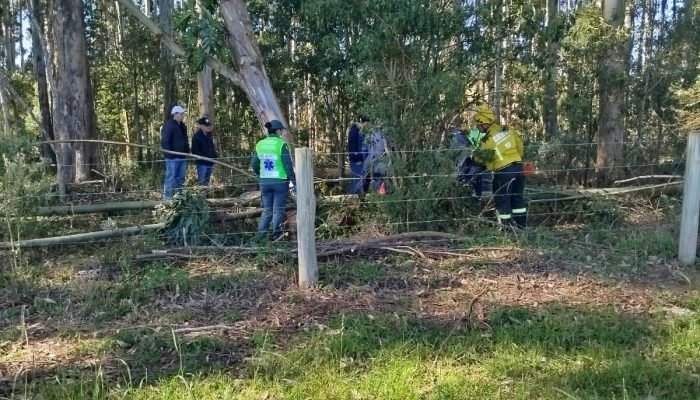 WhatsApp Image 2025-07-29 at 14.50.36