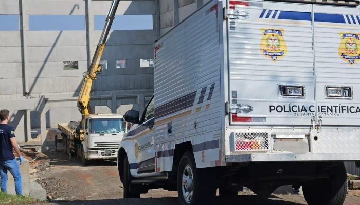 WhatsApp Image 2025-08-02 at 11.14.11 WhatsApp Image 2025-08-02 at 11.14.11