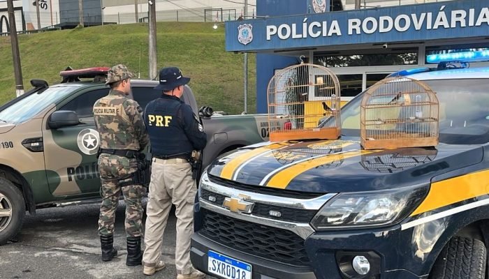 WhatsApp Image 2025-08-05 at 09.55.46