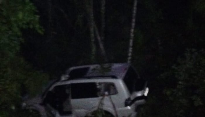 WhatsApp Image 2025-10-11 at 19.51.47