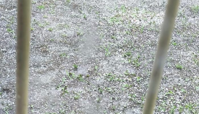 WhatsApp Image 2025-11-07 at 16.18.59