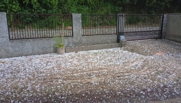 WhatsApp Image 2025-11-22 at 17.24.36