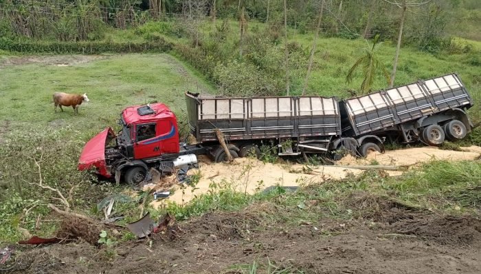 WhatsApp Image 2025-11-25 at 11.54.23