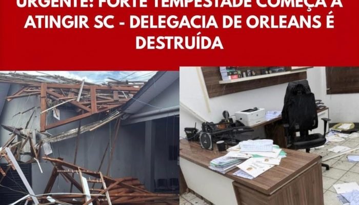 WhatsApp Image 2025-11-28 at 16.01.52