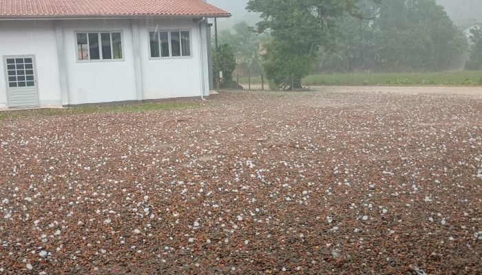 WhatsApp Image 2026-01-31 at 17.13.40