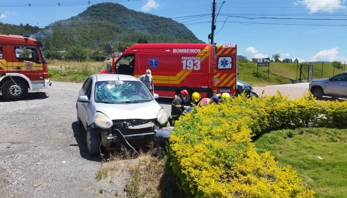 WhatsApp Image 2026-02-02 at 15.33.27