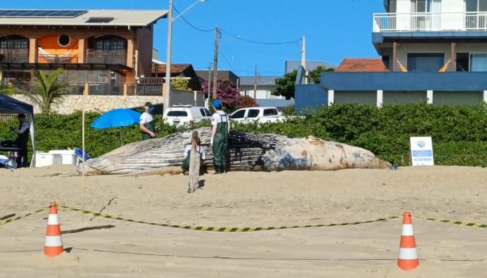 WhatsApp Image 2026-03-05 at 09.14.15