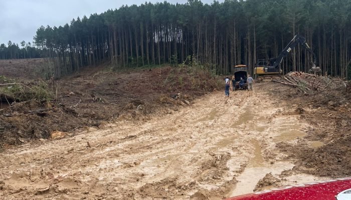 WhatsApp Image 2026-03-12 at 16.17.41