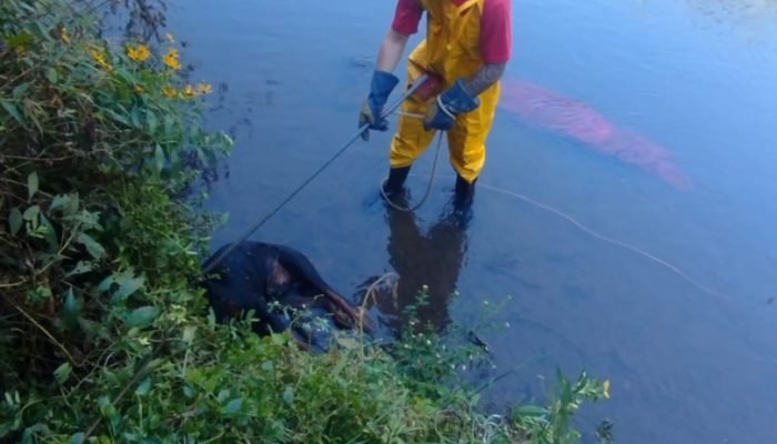 WhatsApp Image 2026-04-14 at 08.49.00