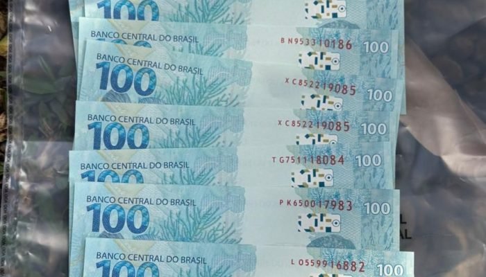 apreensao-notas-falsas-chapeco-policia-federal