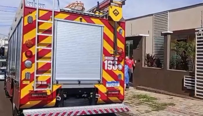 ataque-de-rottweiler-mata-crianca-de-4-anos-em-chapeco