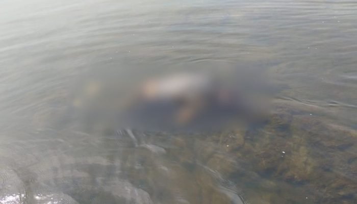 homem-e-encontrado-morto-em-rio-com-varios-tiros-e-caso-pode-ter-comecado-fora-de-sc