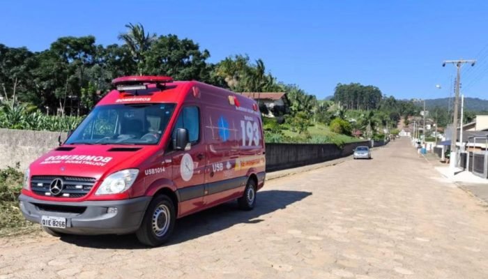 idoso-morre-apos-sofrer-mais-de-100-picadas-de-abelhas-em-sc