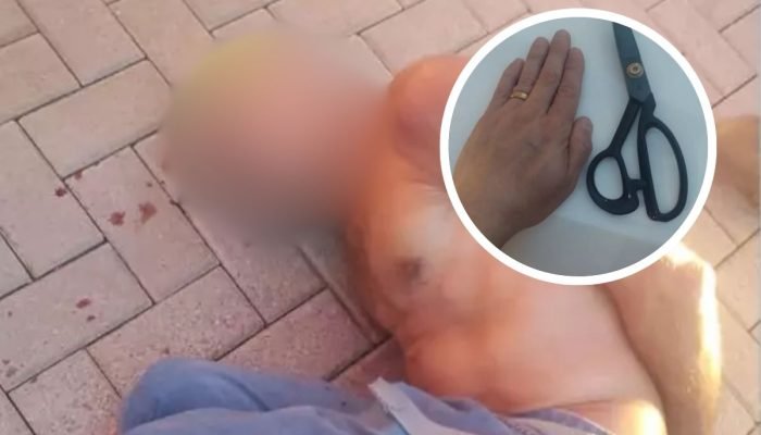 nova-trento-importunacao