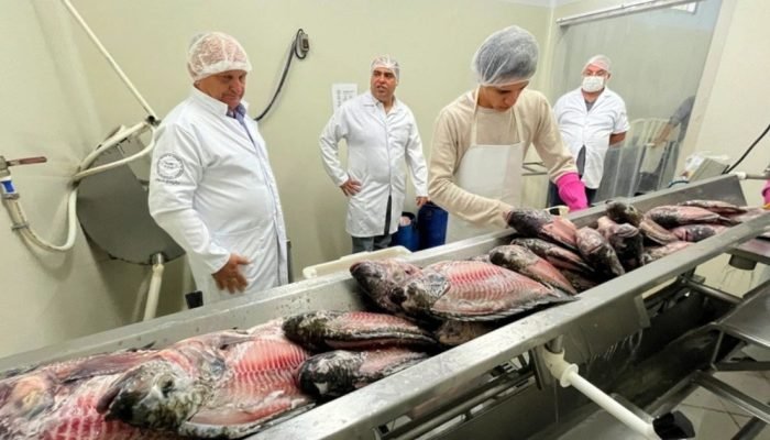 o-que-esta-por-tras-da-explosao-na-producao-de-tilapia-durante-a-quaresma-em-jaragua-do-sul-2