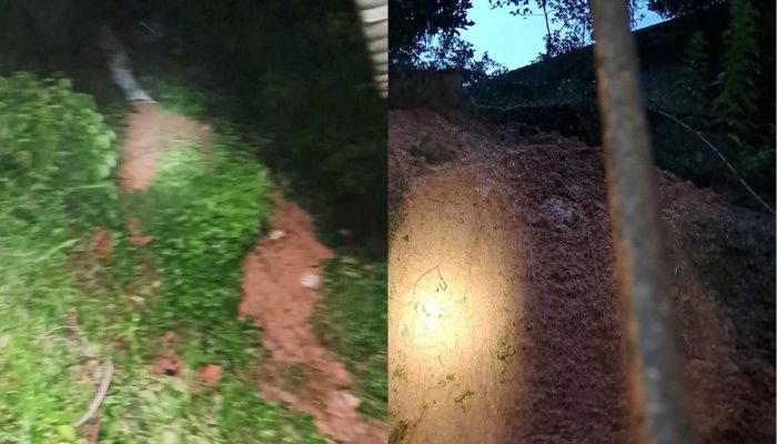 padrao-fotos-blumenau-14