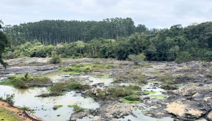 padrao-fotos-blumenau-2026-04-10t154145920