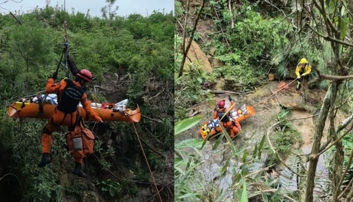 padrao-portal-nd-2026-02-04t074209707