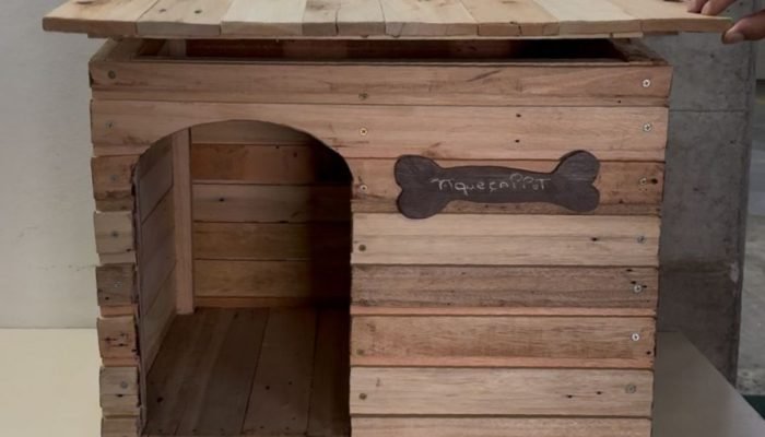 presos-constroem-casinhas-comunitarias-para-caes-em-blumenau-2